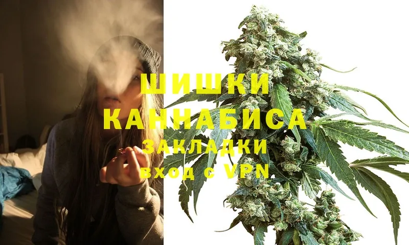 Каннабис OG Kush  как найти наркотики  Очёр 